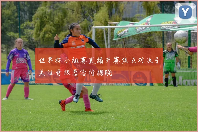 世界杯小组赛直播开赛焦点对决引关注晋级悬念待揭晓