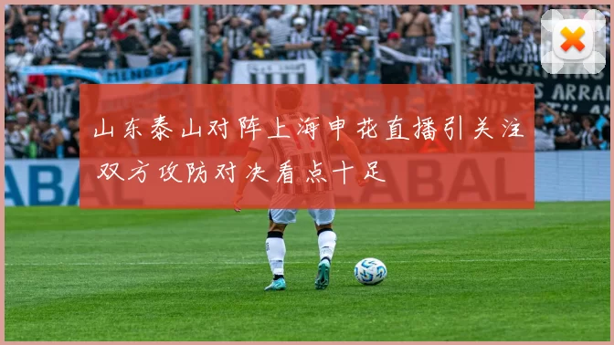 山东泰山对阵上海申花直播引关注 双方攻防对决看点十足